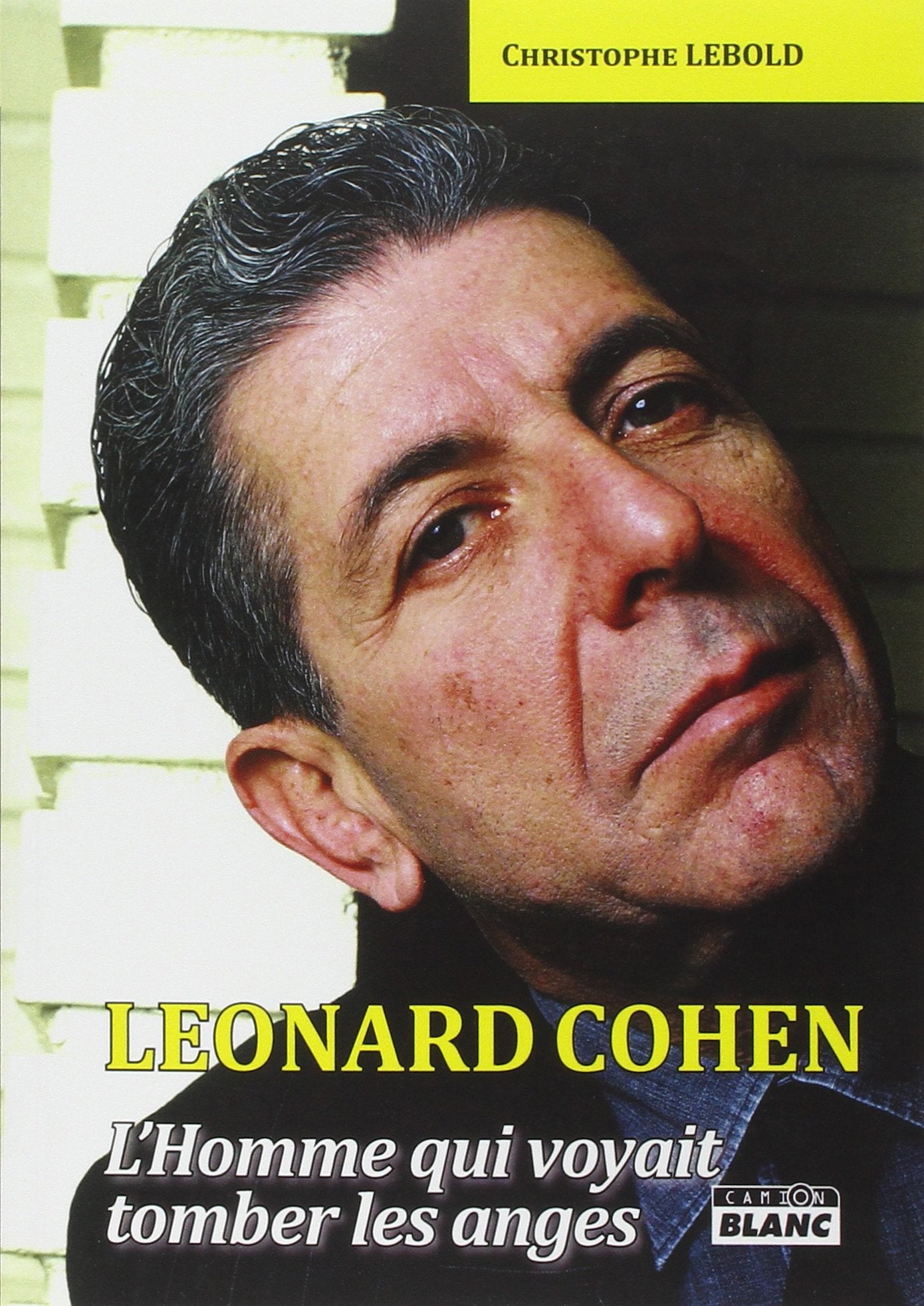 LEONARD COHEN L'homme qui voyait tomber les anges Books
