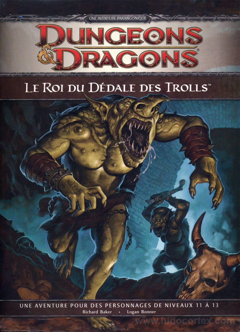 Play Factory - Dungeons & Dragons 4.0 : le Roi du dédale des Trolls book
