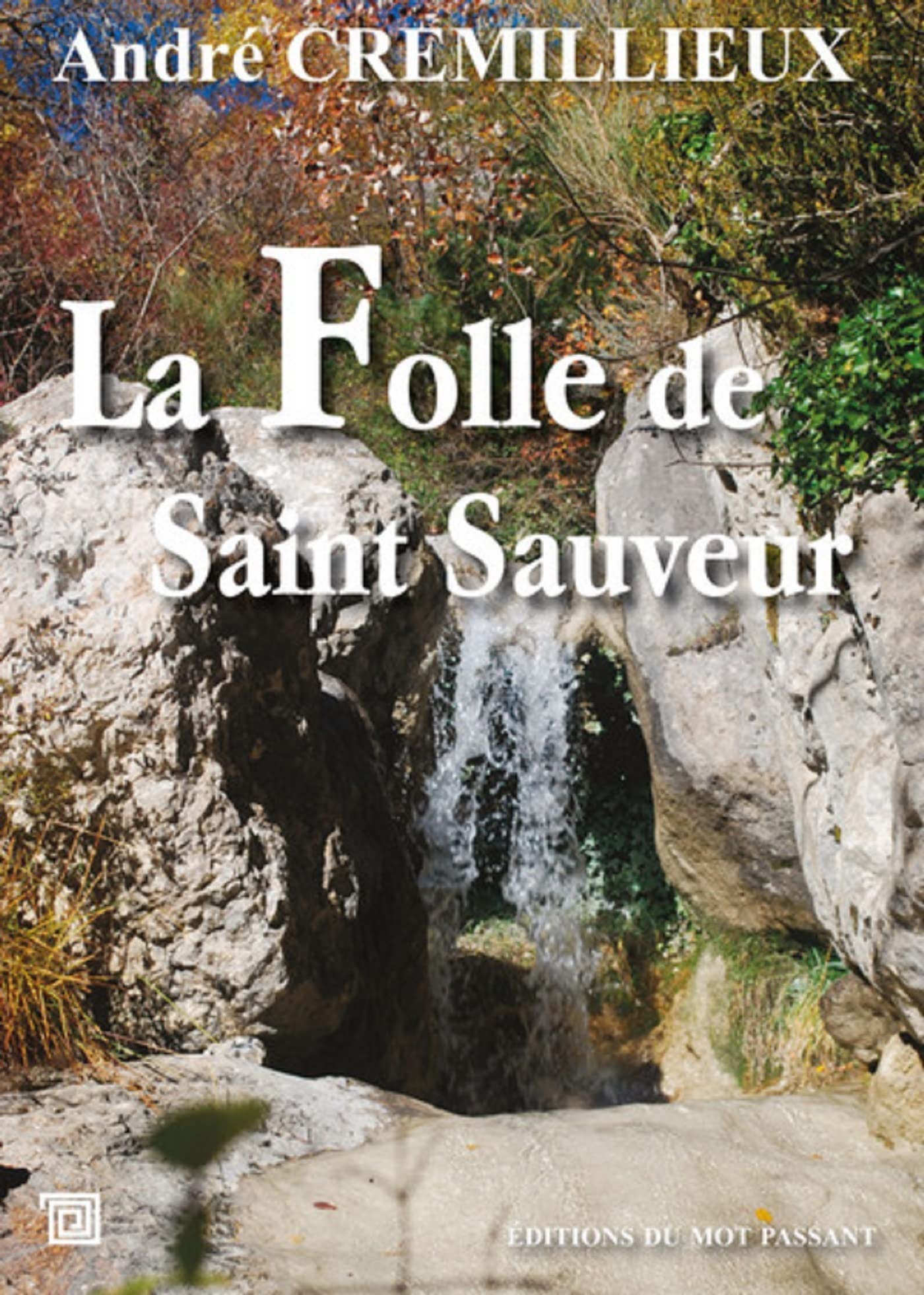 La Folle de Saint Sauveur Contemporary literature