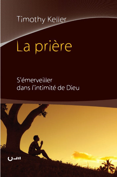 La prière : s'émerveiller dans l'intimité de Dieu book