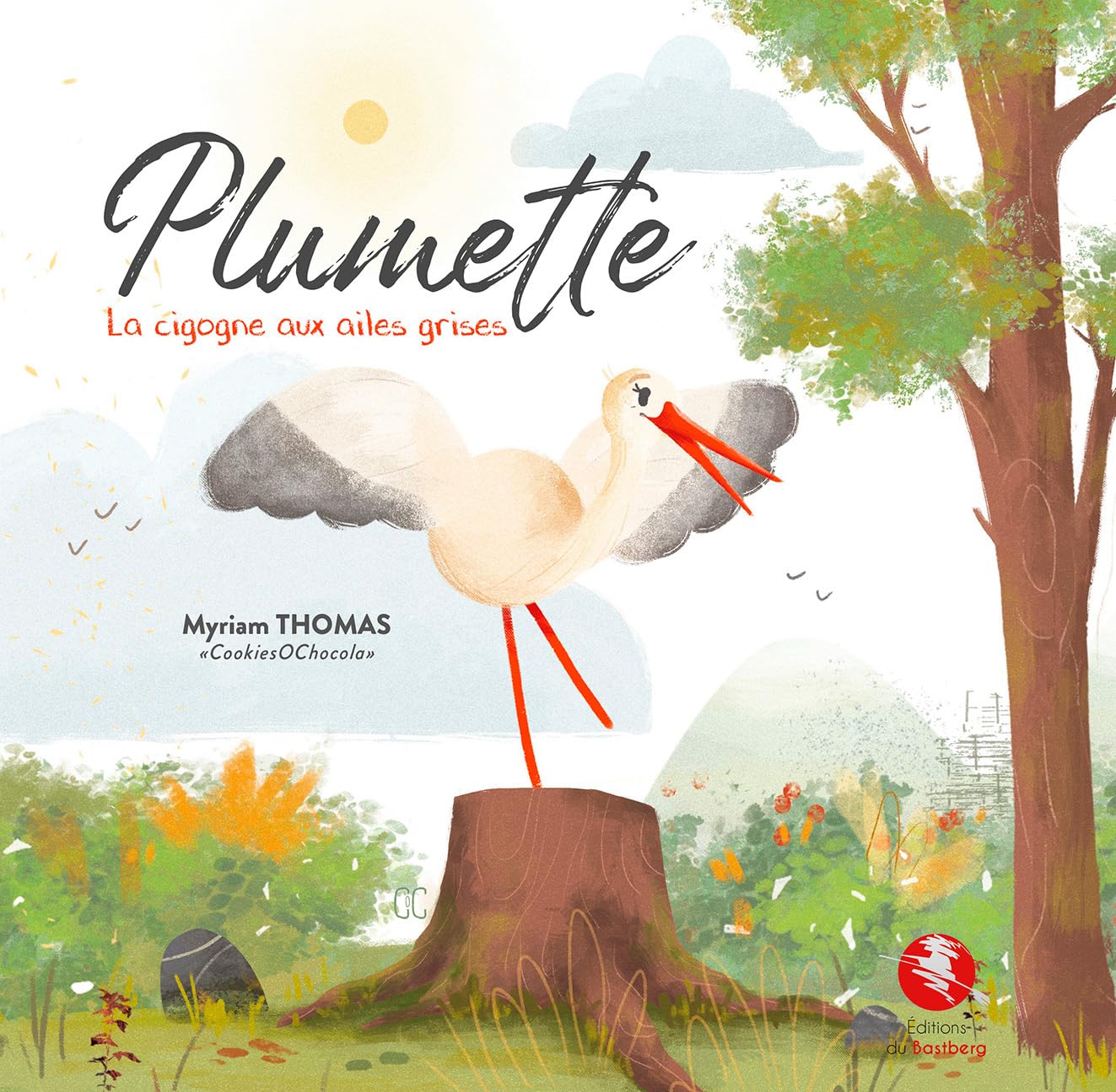 Plumette: La cigogne aux ailes grises book