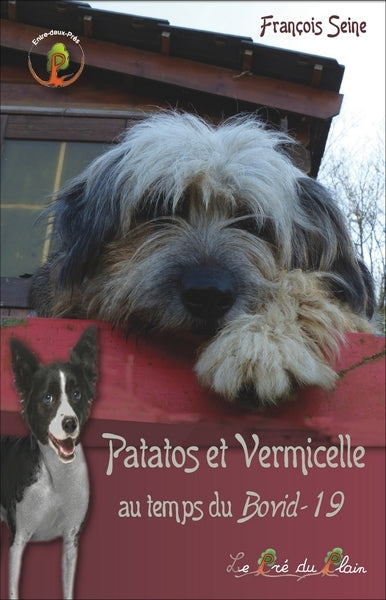 Patatos et Vermicelle. Vol. 2. Patatos et Vermicelle au temps du Bovid-19 Contemporary literature
