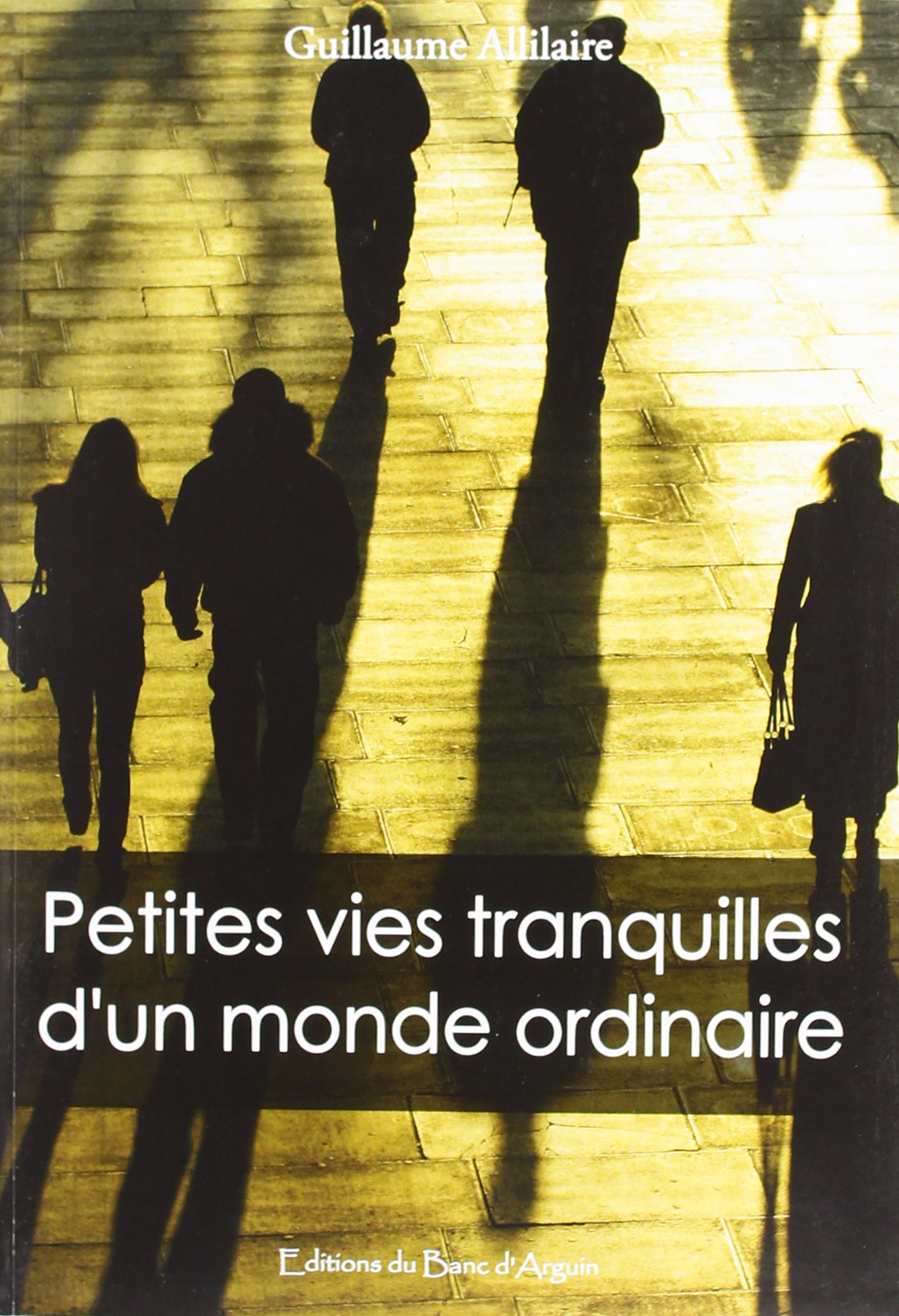 Petites vies tranquilles d'un monde ordinaire book