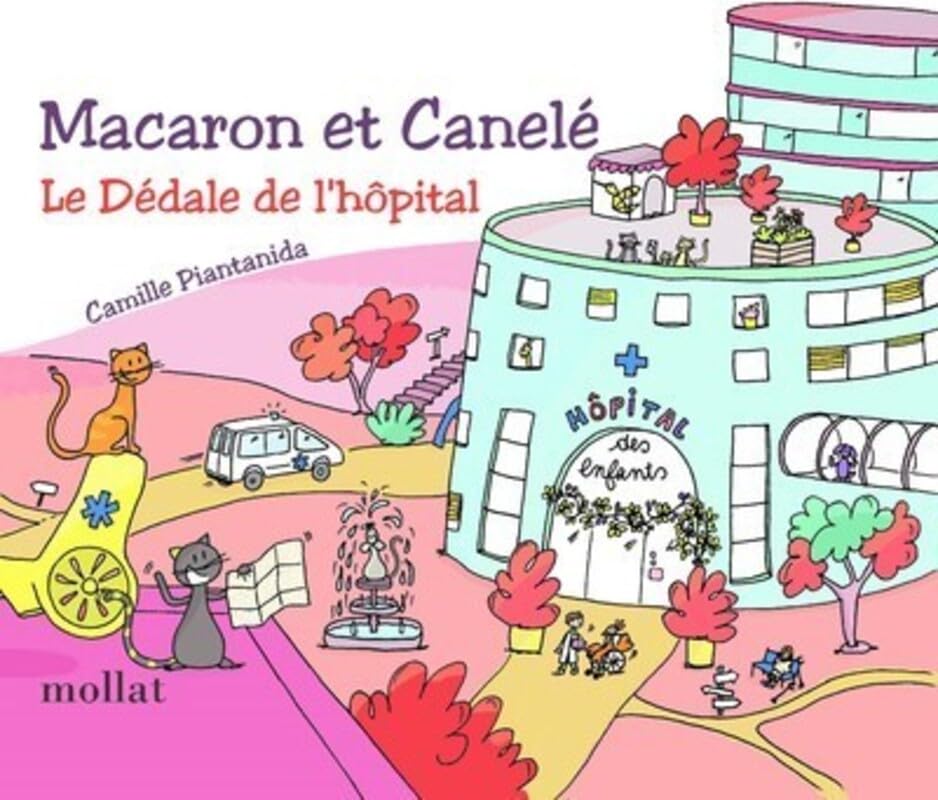 Macaron et Canelé "Le dédale de l'hôpital" book