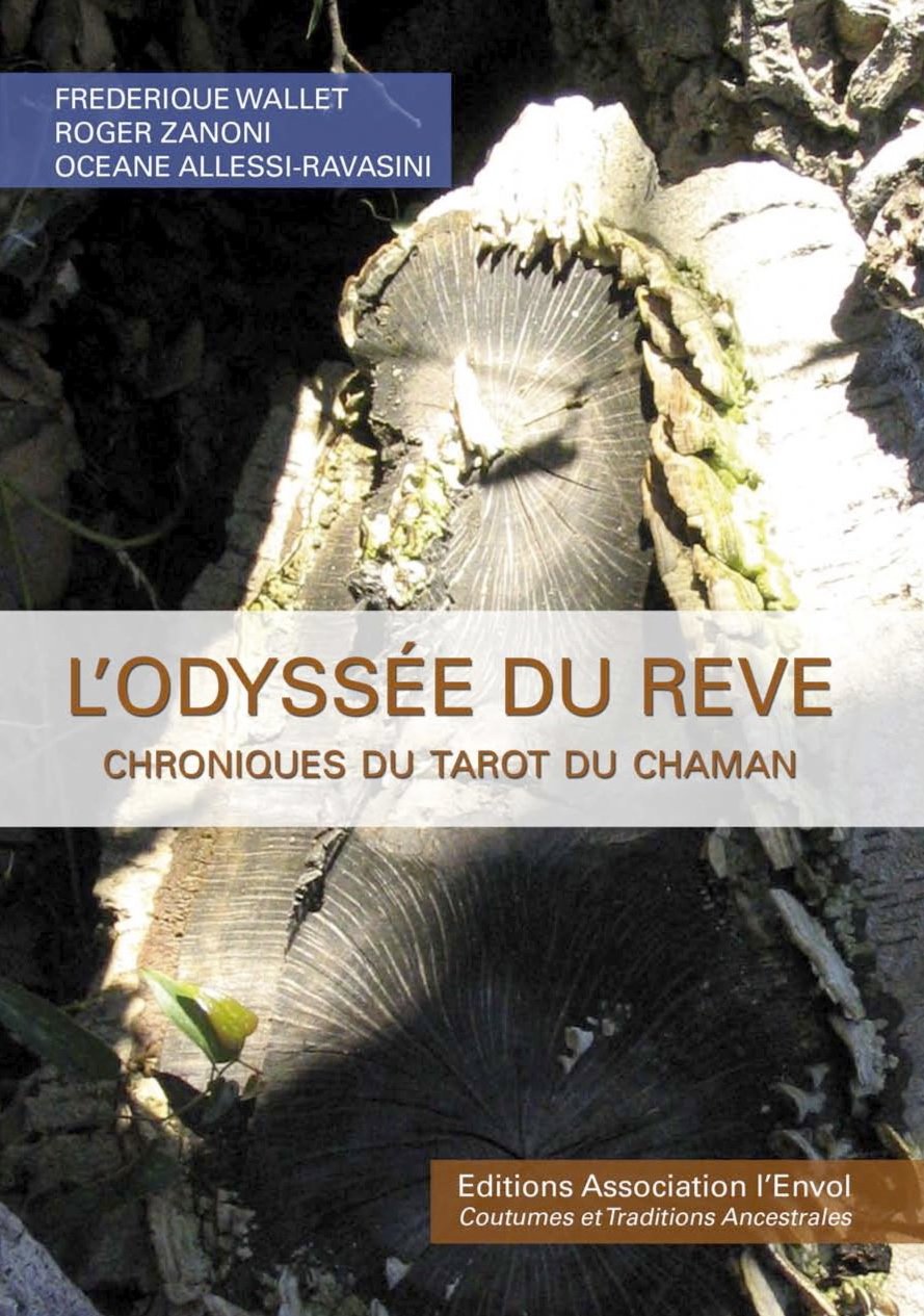 L'Odyssée du rêve chroniques du tarot du chaman book