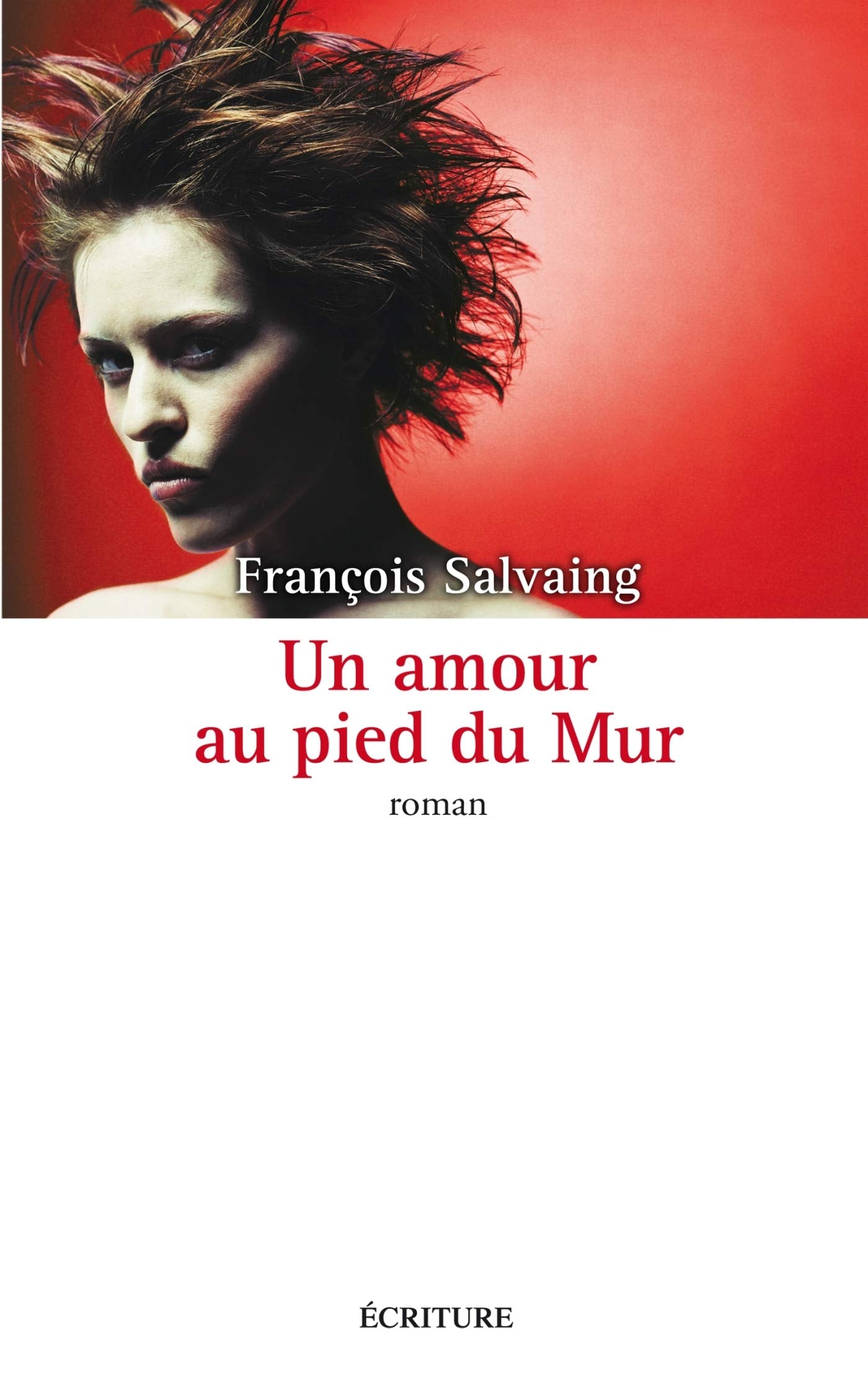 Un amour au pied du mur Contemporary literature