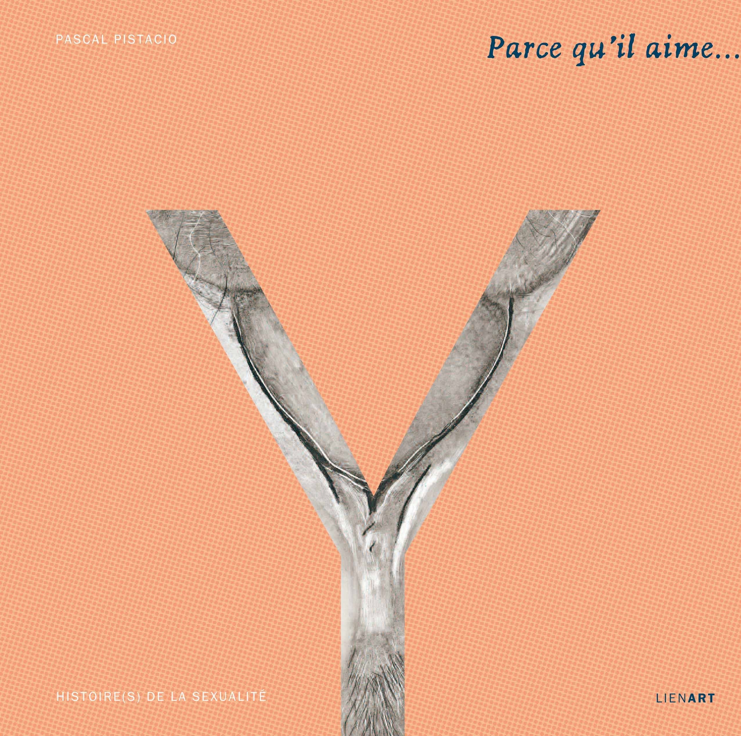 Parce qu il aime ce qu il n a pas histoire(s) de la sexualite: Histoire(s) de la sexualité Film, Art & Culture