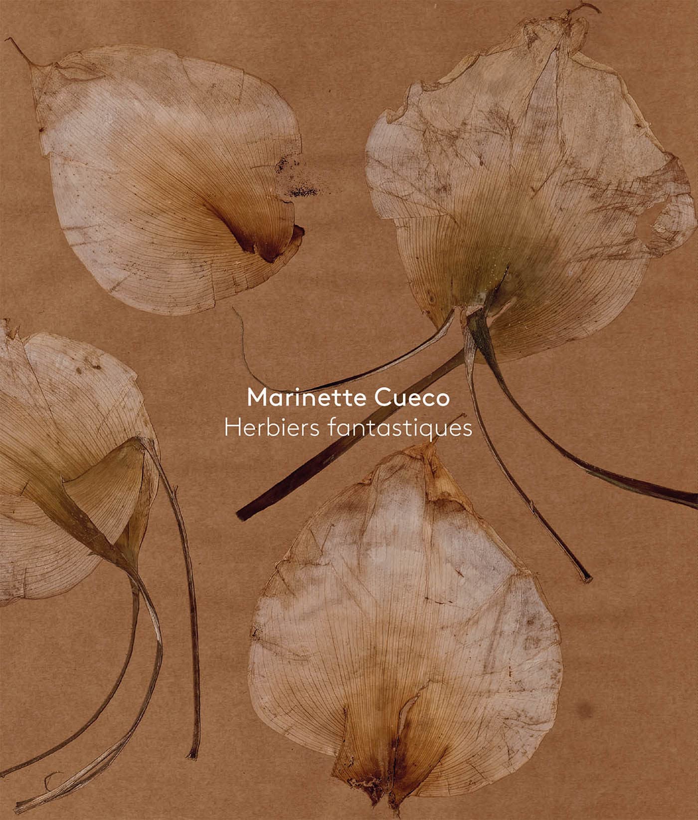 Marinette Cueco. Herbiers fantastiques Film, Art & Culture