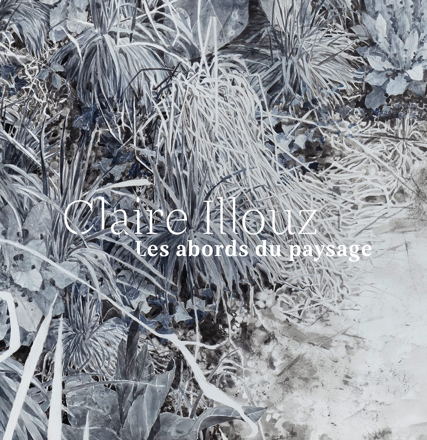 Claire Illouz. Les abords du paysage book