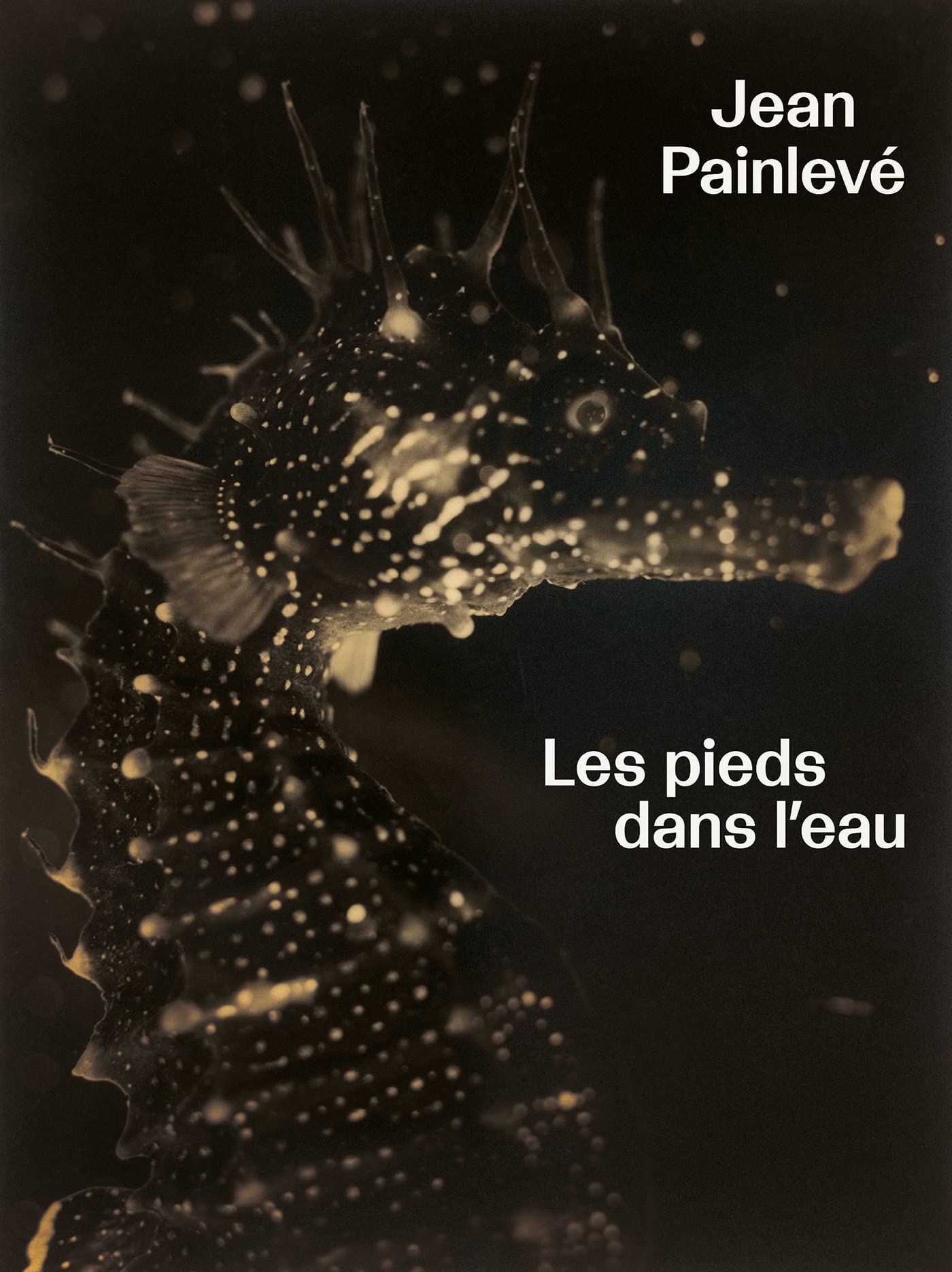 Jean Painlevé. Les pieds dans l'eau book