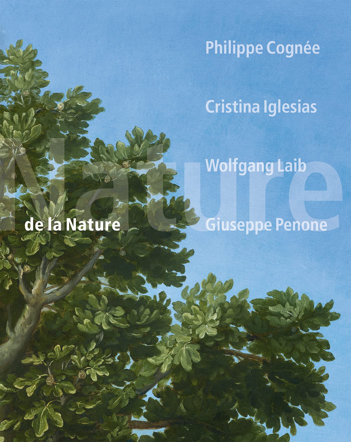 De la Nature: Philippe Cognée, Cristina Iglesias, Wolfgang Laib, Giuseppe Penone Film, Art & Culture