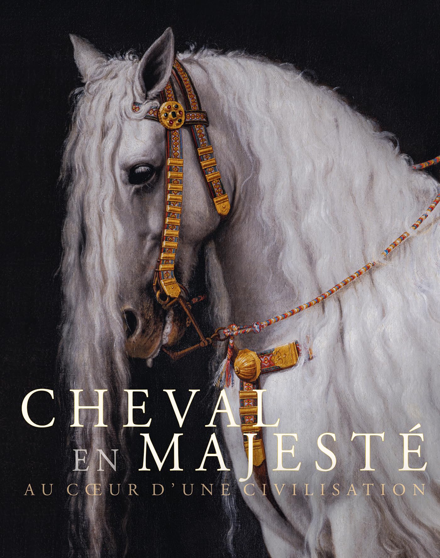 Cheval en majesté. Au coeur d'une civilisation Film, Art & Culture