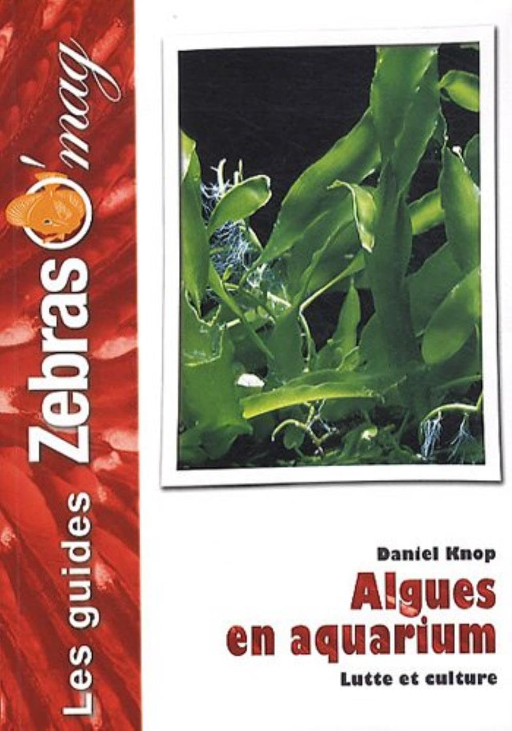 ANIMALIA Les Algues en aquarium: Lutte et culture Pets