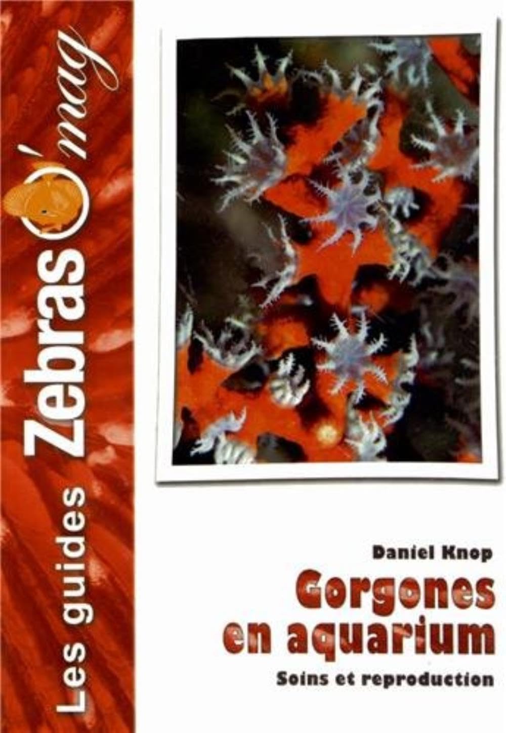 Les Gorgones en aquarium: Soins et reproduction book