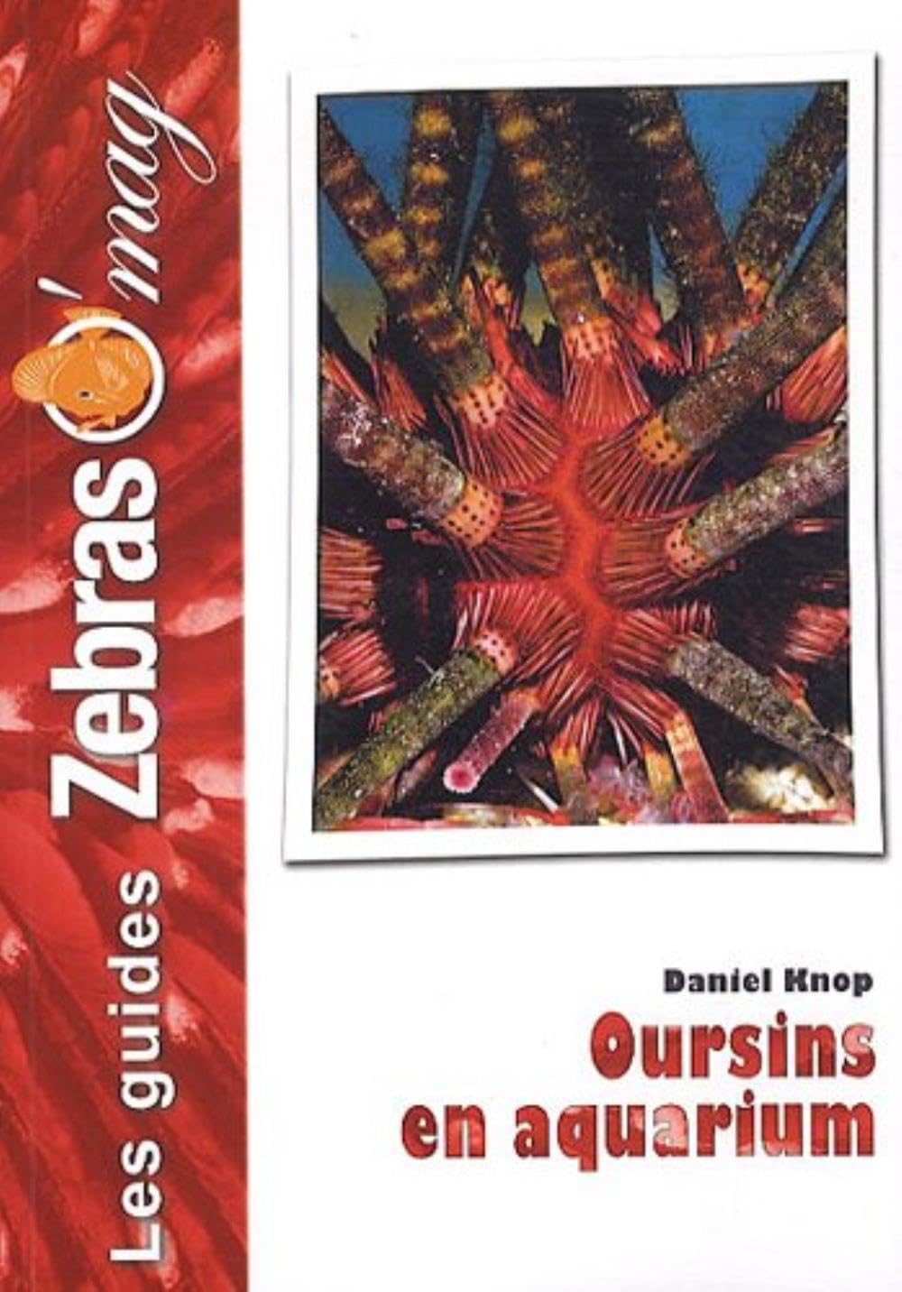 Les Oursins en aquarium: Soins et reproduction Pets