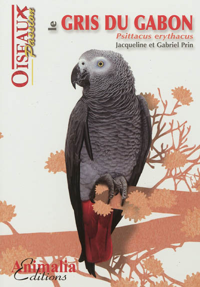 Product Image: Le gris du Gabon : psittacus erythacus