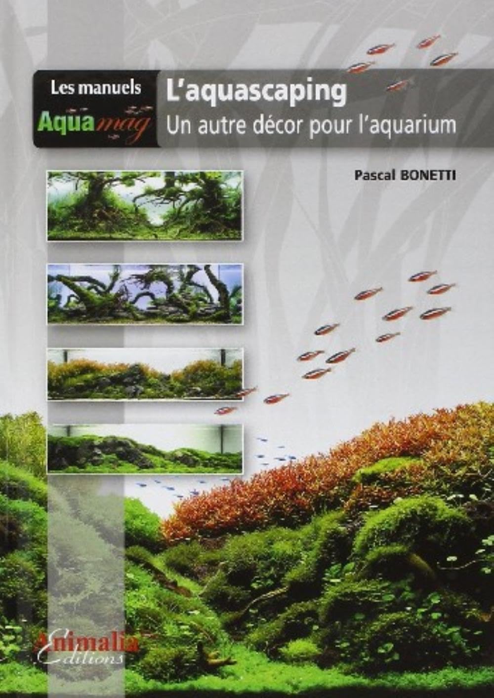 L'Aquascaping: Un autre décor pour l'aquarium Pets