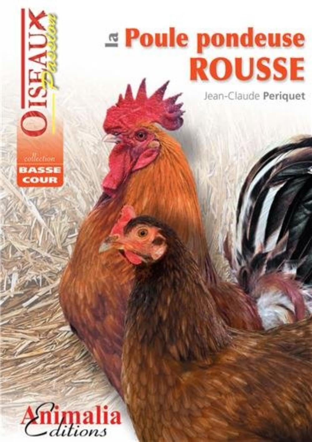La poule pondeuse rousse Leisure, Home & Garden