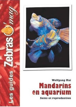 Mandarins en aquarium : soins et reproduction Pets