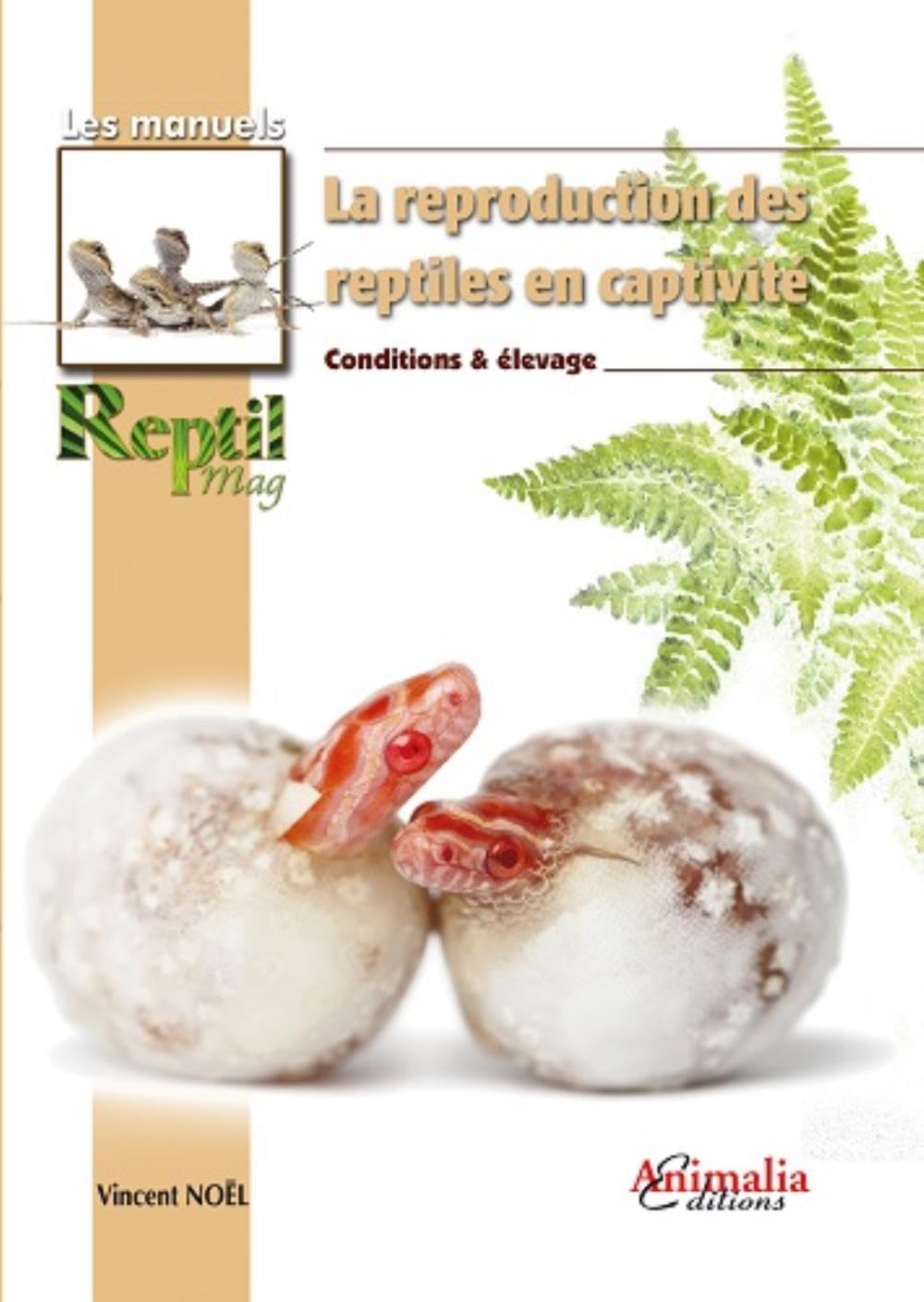 La reproduction des reptiles en captivité Pets