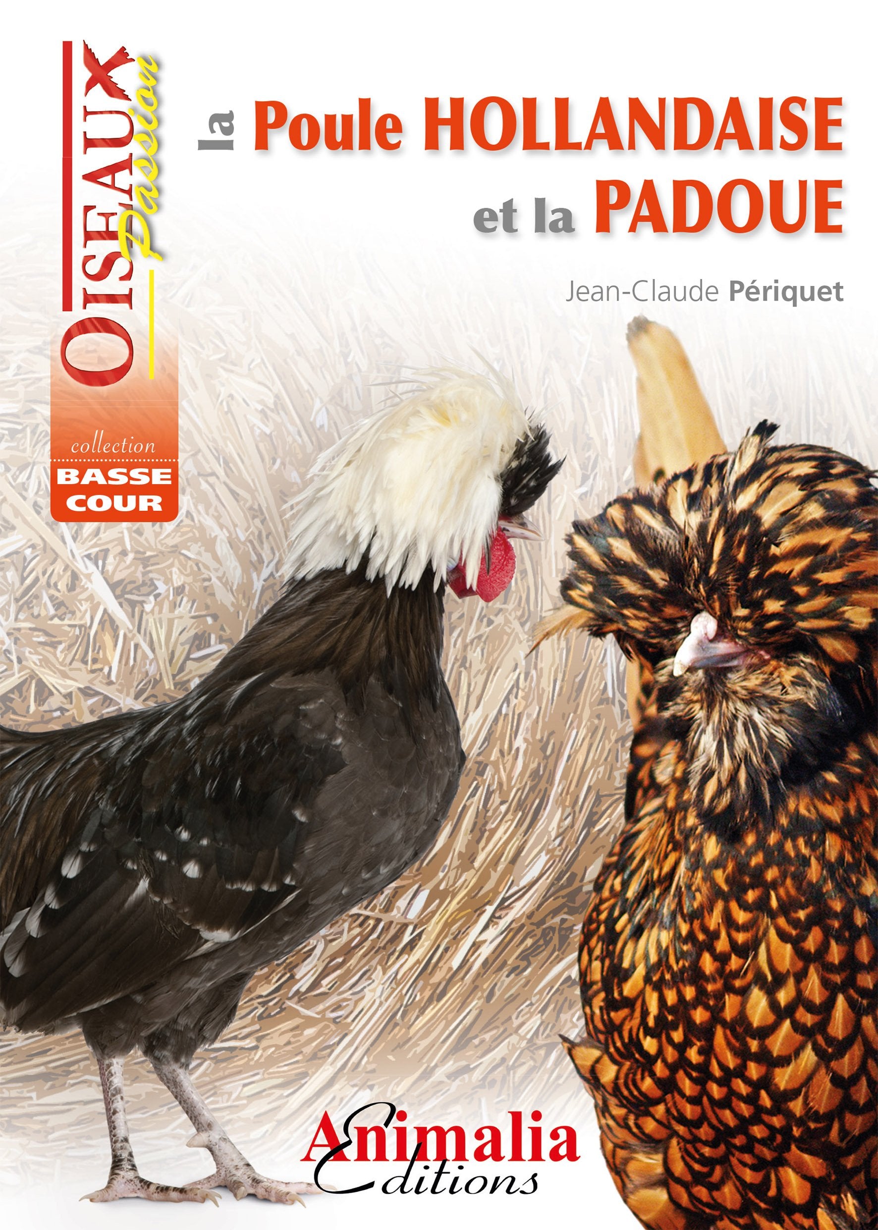 La poule hollandaise et la padoue book
