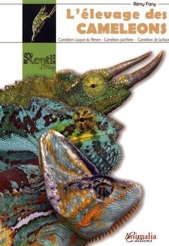L'élevage des caméléons : Caméléon casque du Yémen, caméléon de Jackson, caméléon panthère Pets