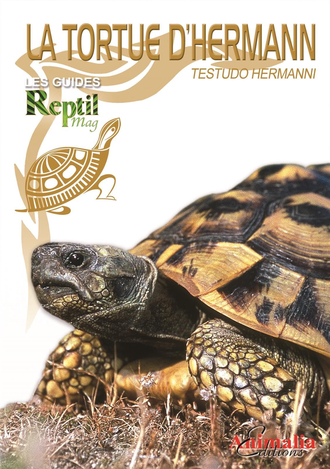 La tortue d'Hermann: Testudo hermanni book