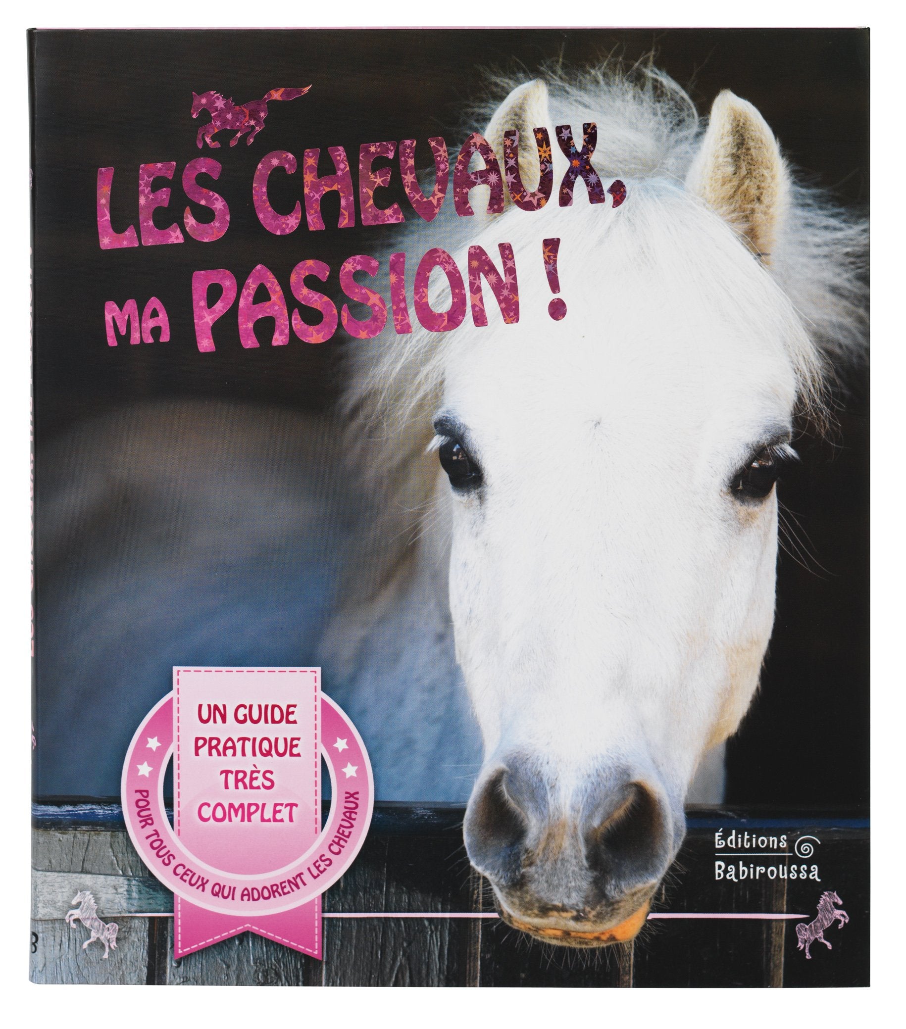 Les Chevaux, ma passion !: Un guide pour devenir un cavalier émérite book
