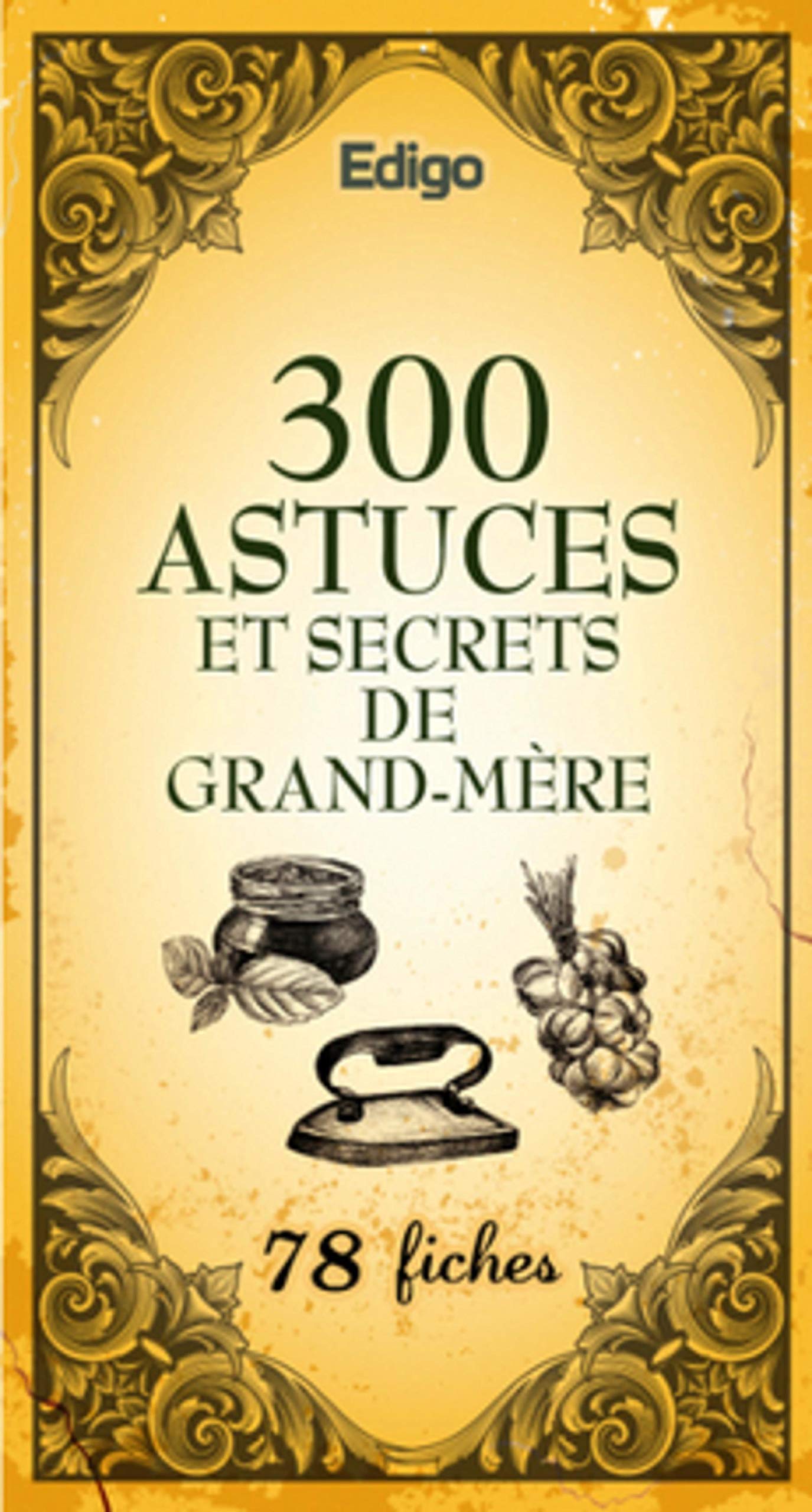 300 ASTUCES ET SECRETS DE GRAND-MERE - NOUVELLE EDITION Leisure, Home & Garden