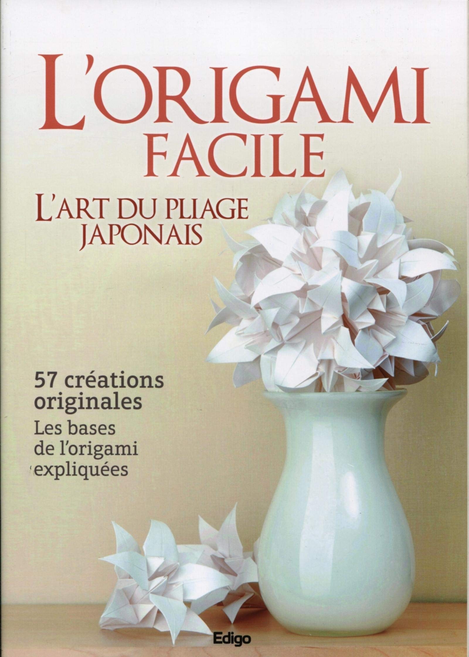 L'ORIGAMI FACILE. L'ART DU PLIAGE JAPONAIS. 57 CREATIONS ORIGINALES. LES BSE DE Leisure, Home & Garden
