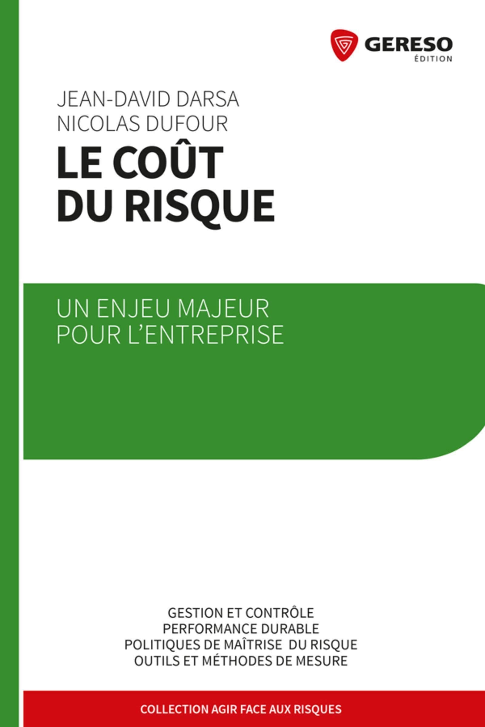 Le coût du risque : Un enjeu majeur pour l'entreprise, Gestion et contôle, Performance durable, Politiques de maîtrise du risque, Outils et méthodes de mesure book