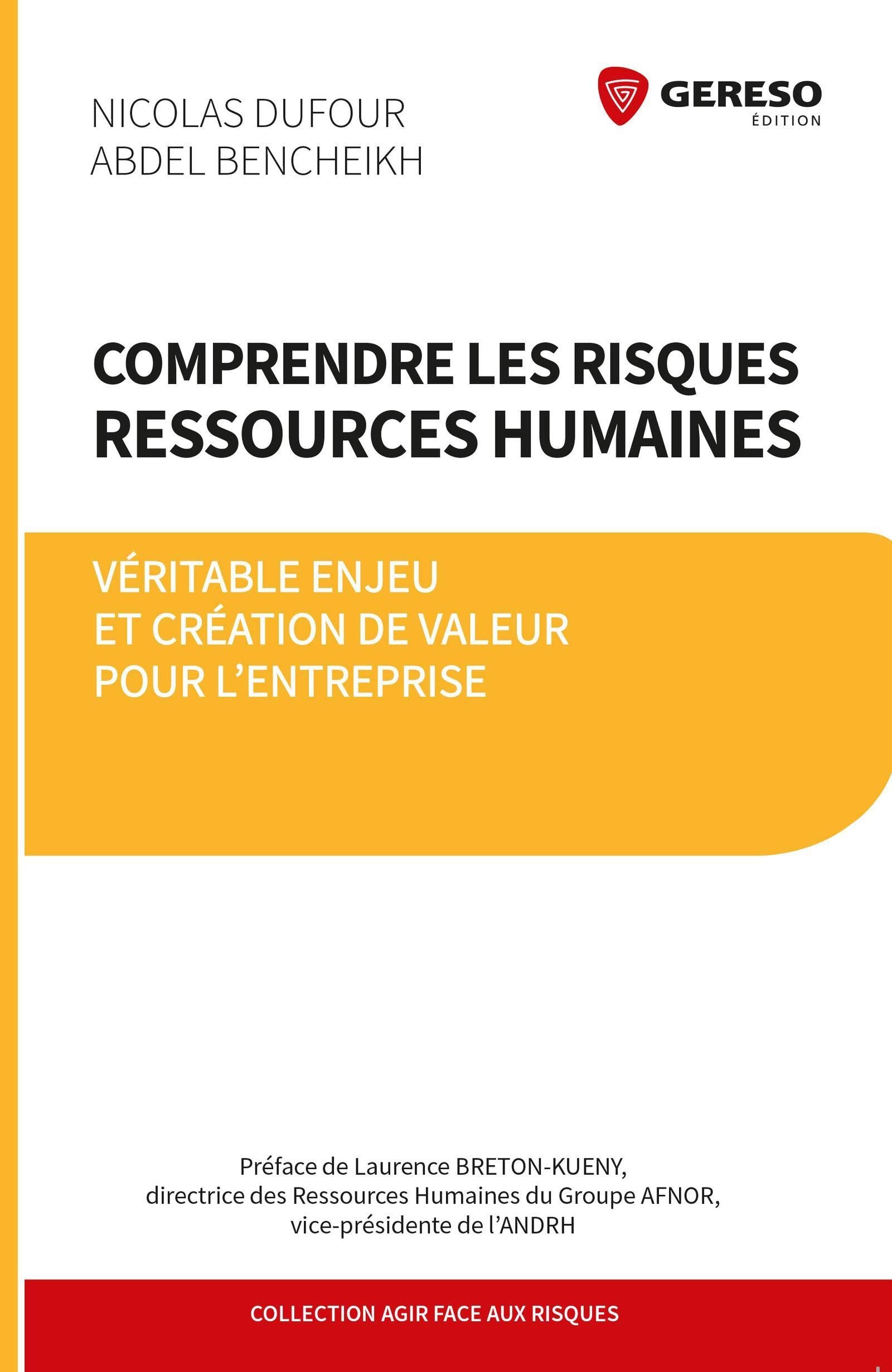 COMPRENDRE LES RISQUES RESSOURCES HUMAINES: VERITABLE ENJEU ET CREATION DE VALEUR POUR L ENTREPRISE book