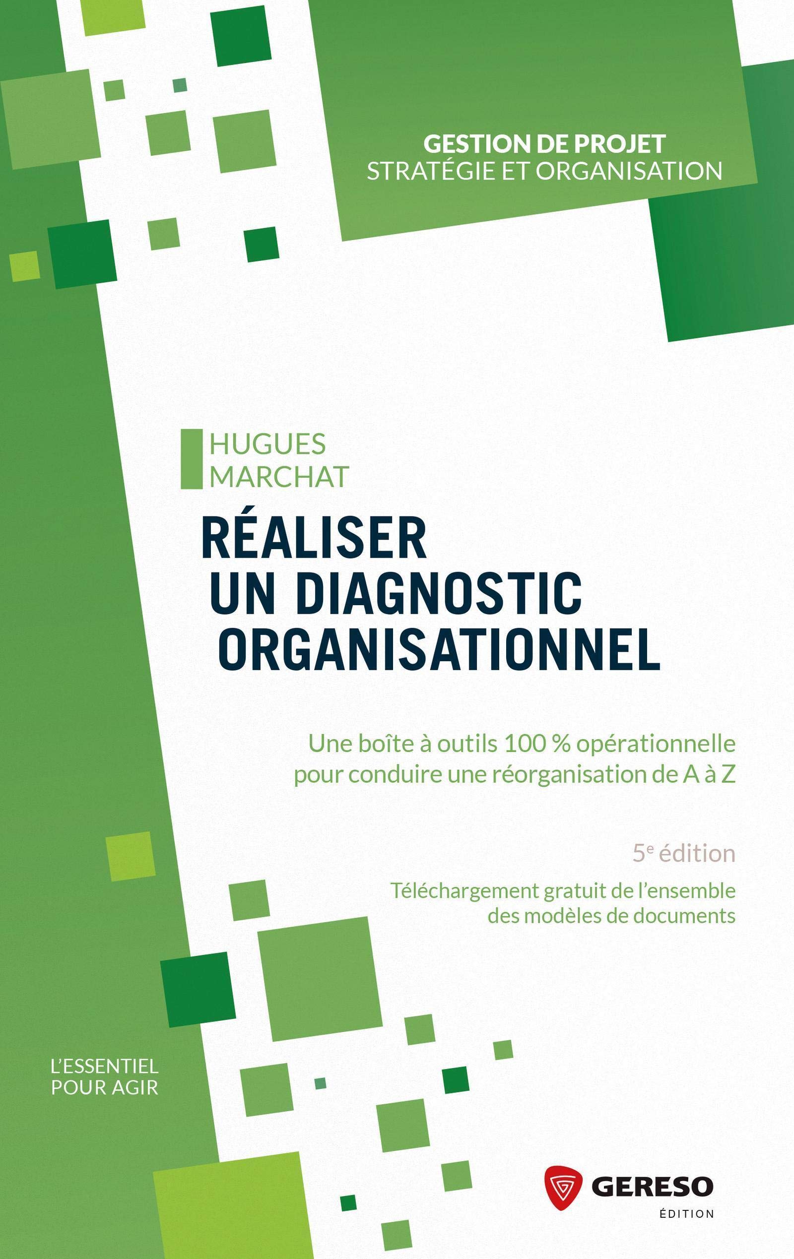 Réaliser un diagnostic organisationnel: Une boîte à outils 100% opérationnelle pour conduire une réorganisation de A à Z Business, Finance & Career