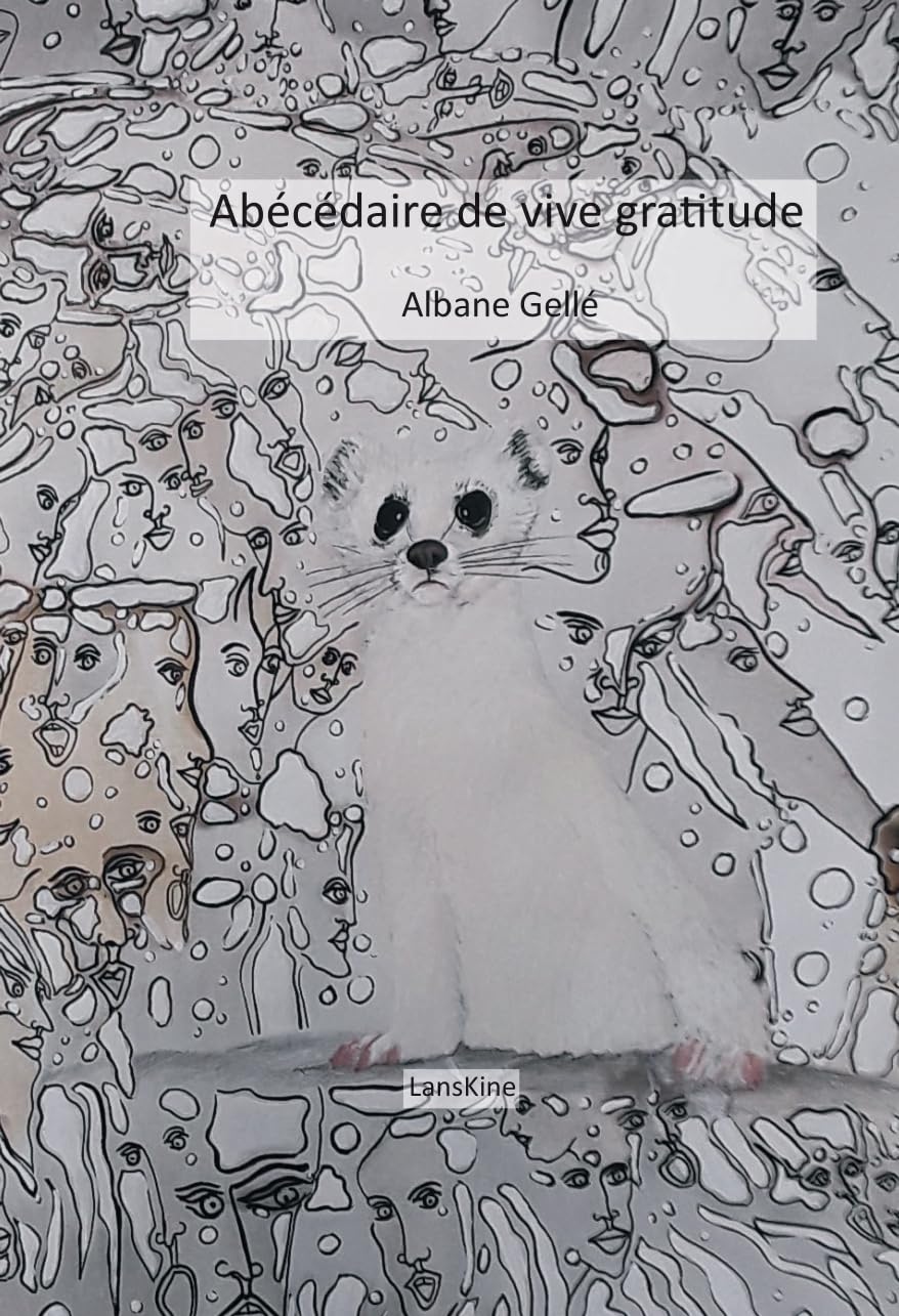 Abécédaire de vive gratitude: 36 mercis (+1) comme 36 chandelles (+1)sous un ciel étoilé book