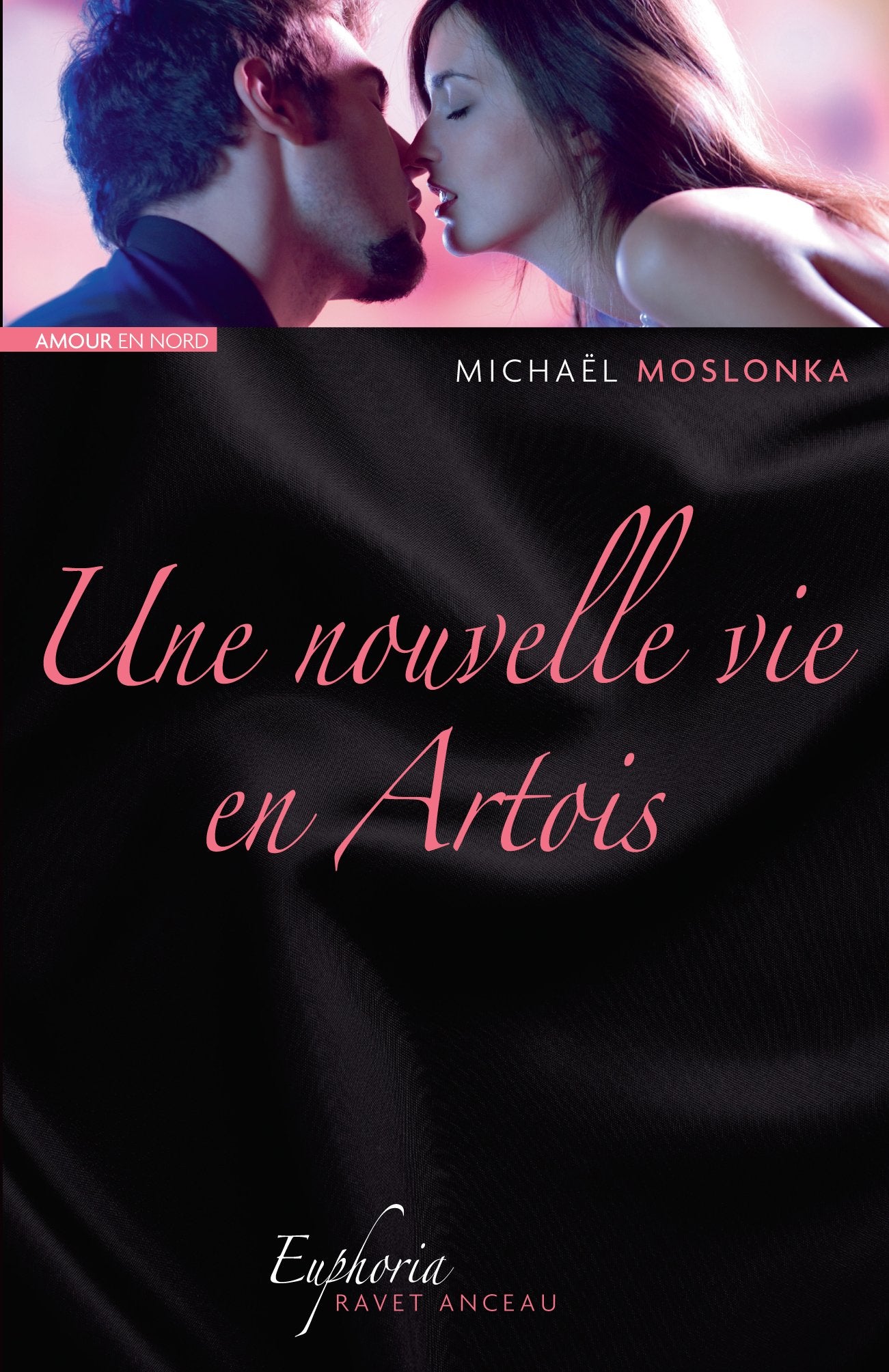 Une nouvelle vie en Artois book
