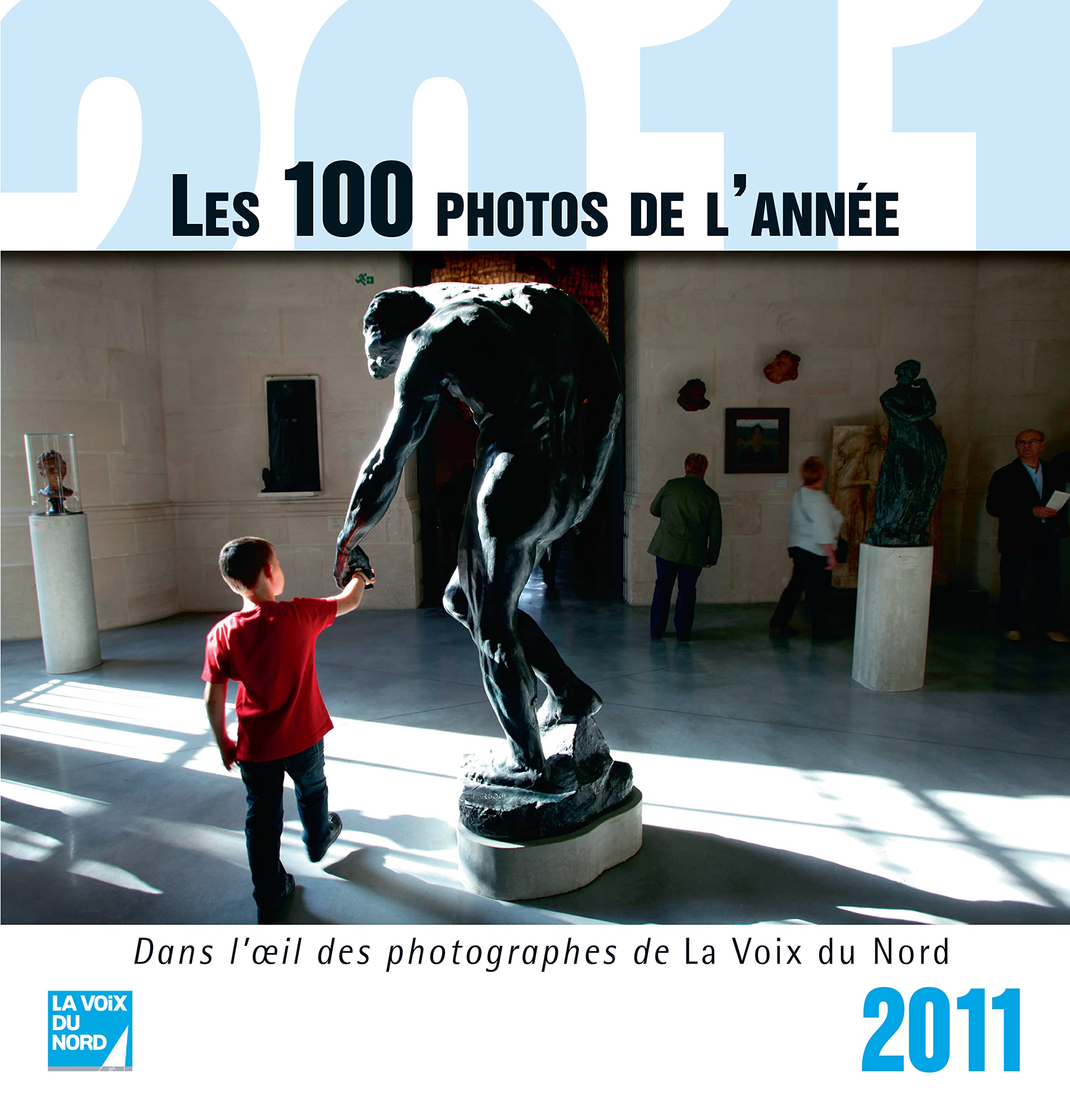 Les 100 Photos de l'Année 2011 book