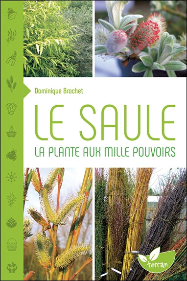 Le saule : la plante aux mille pouvoirs Leisure, Home & Garden