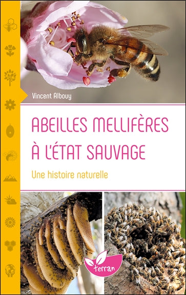 Abeilles mellifères à l'état sauvage : une histoire naturelle Natural Sciences
