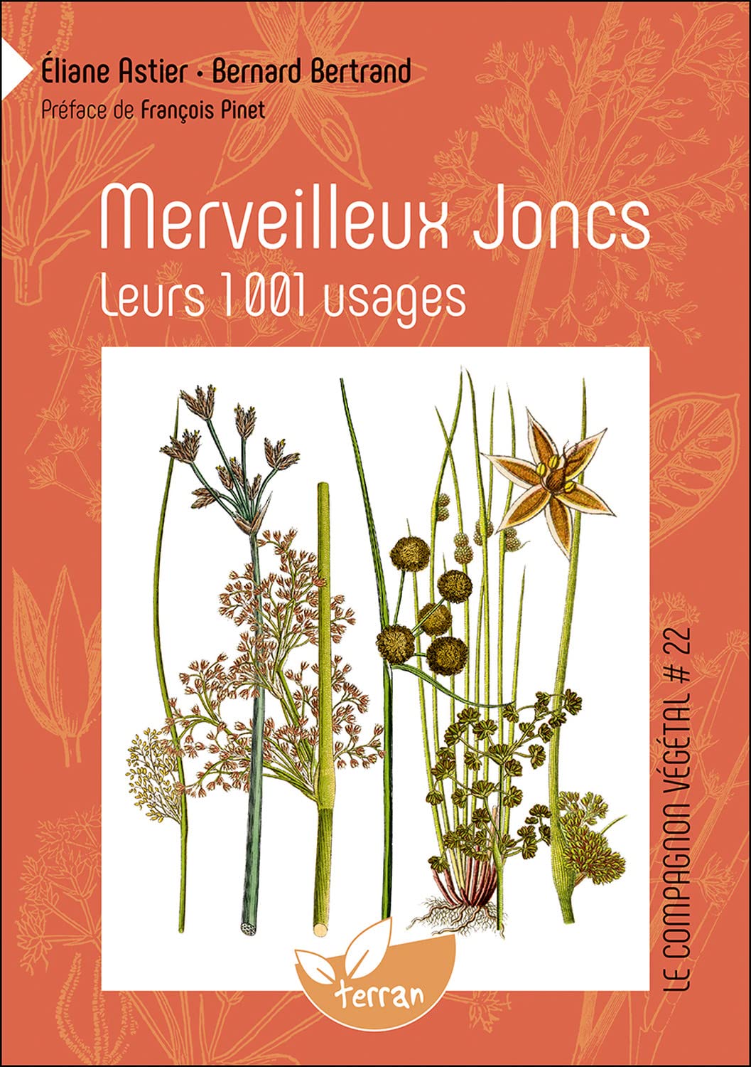 Merveilleux Joncs - Leurs 1001 usages - Vol. 22 Hobbies & Crafts