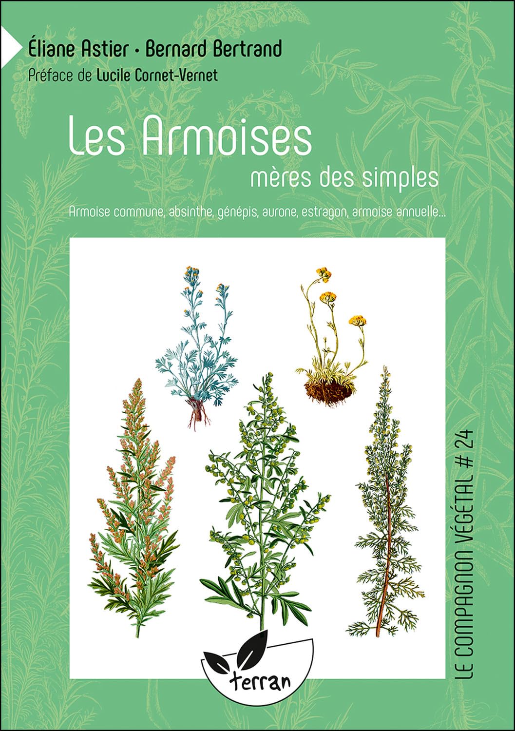 Les Armoises, mères des simples - Armoise commune, absinthe, génépis, aurone, estragon, armoise annuelle... Numéro 24 Leisure, Home & Garden