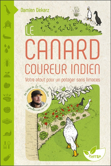 Le canard coureur indien : votre atout pour un potager sans limaces Garden & Plants