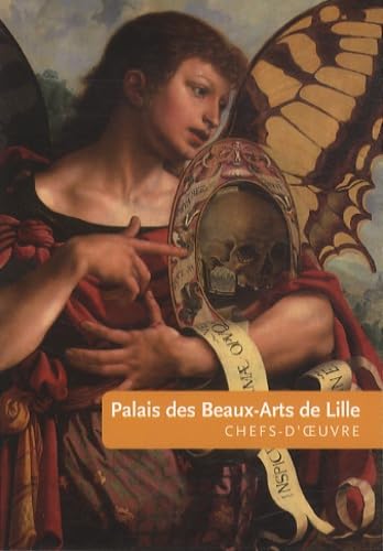 Palais des beaux-arts de Lille: Chefs-d'oeuvre Books