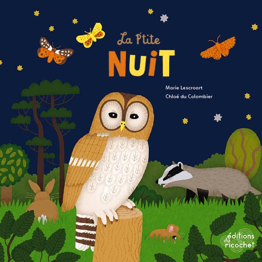 Mes petites histoires de Noël - La nuit magique de Noël book