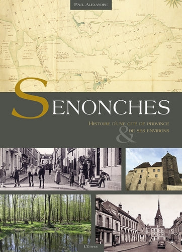 Senonches : histoire d'une cité de province et de ses environs book