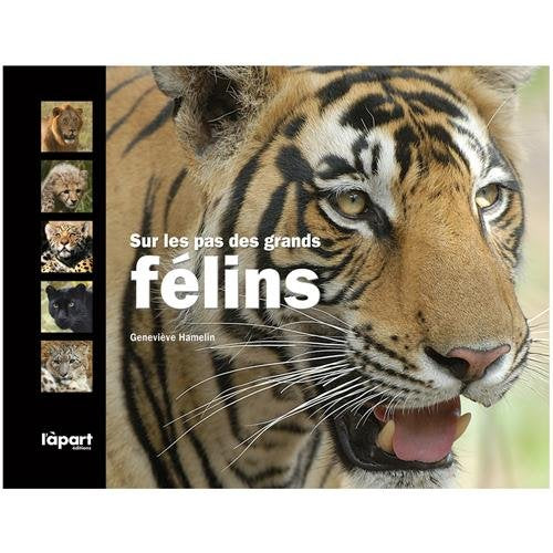Sur les pas des grands félins book