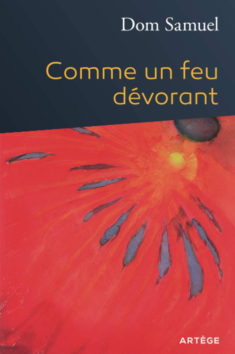 Comme un feu dévorant book