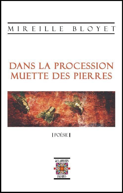 Dans la procession muette des pierres, poésie book