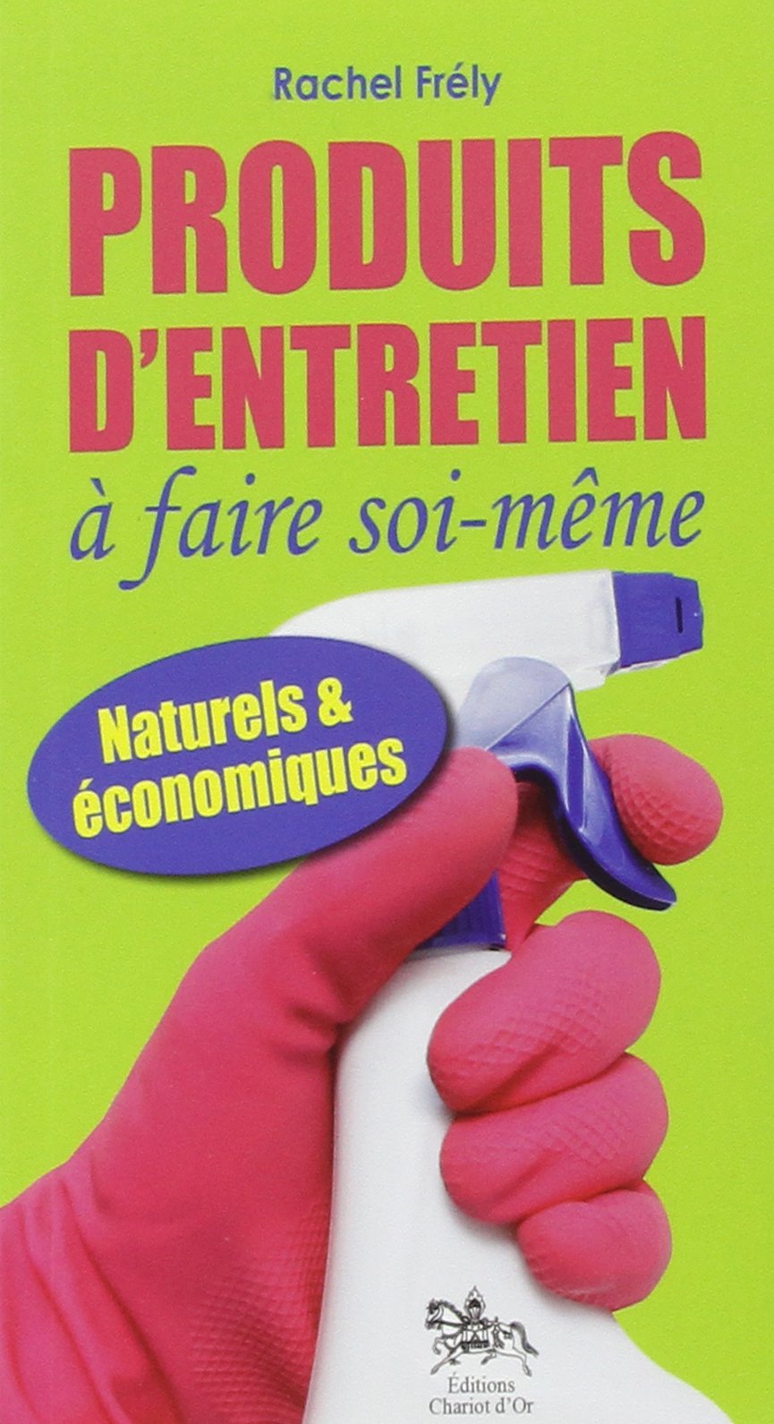 Produits d'entretien à faire soi-même book