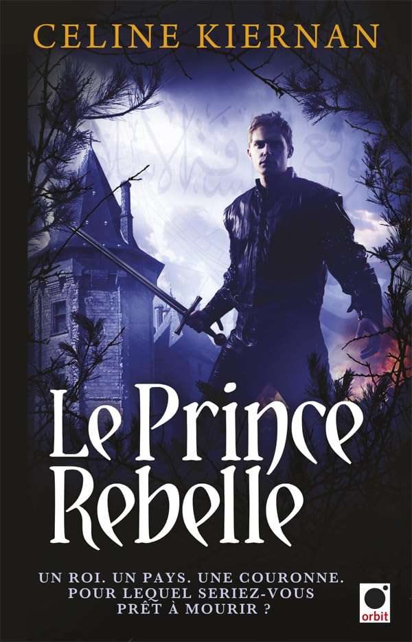 Le Prince rebelle (Les Moorehawke***) Contemporary literature
