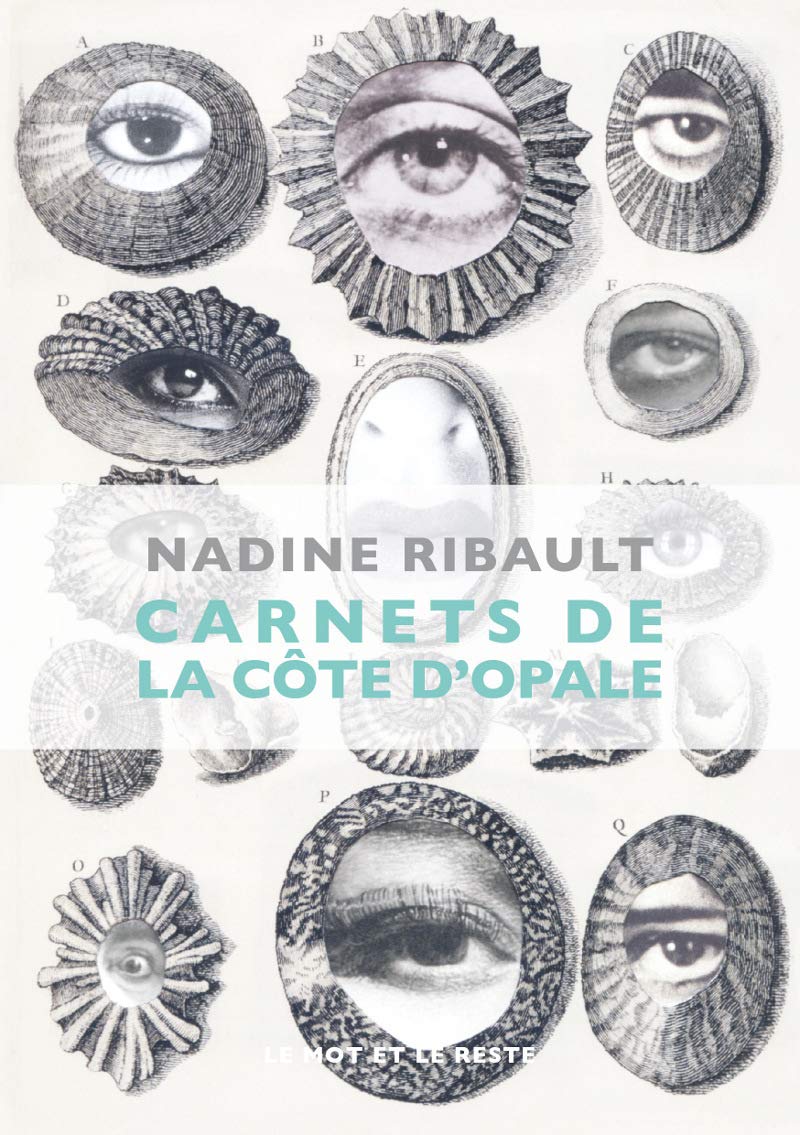 Carnets de la côte d'Opale: L'infini arrive pieds nus sur cette terre book